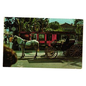 Vintage New Orleans Postcard French Quarter Sightseeing Carriage Photo Lewis